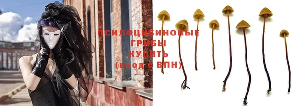 спиды Абаза