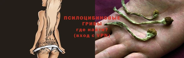 apvp Абдулино