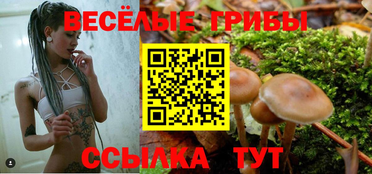 Керчь  Псилоцибиновые грибы Cubensis  Вход с VPN 