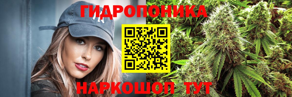 Бошки Шишки индика  Вход с VPN  Керчь  Конопля сатива 